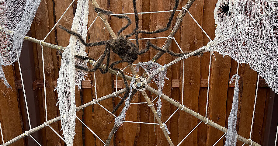 DIY: Giant Spider Web in XXL Format | Einhell Advisor