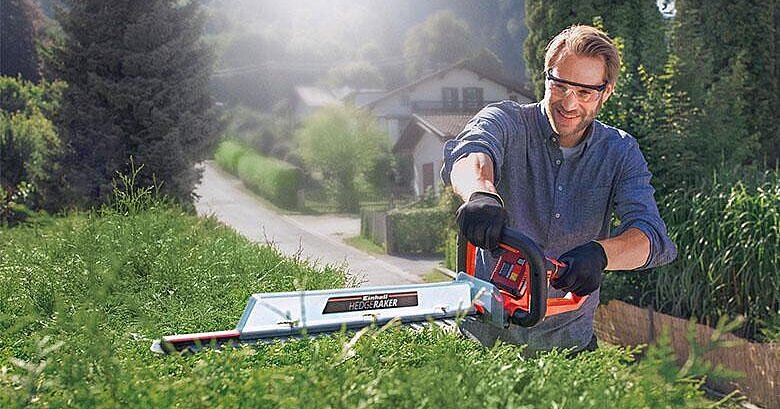 zimmerpflanzen gnstig kaufen 9er Set XXL Bropflanzen Palmen