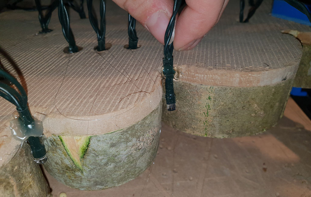 Nahaufnahme von Lichterketten, die mit Heißkleber auf der Rückseite von Holzscheiben befestigt sind.