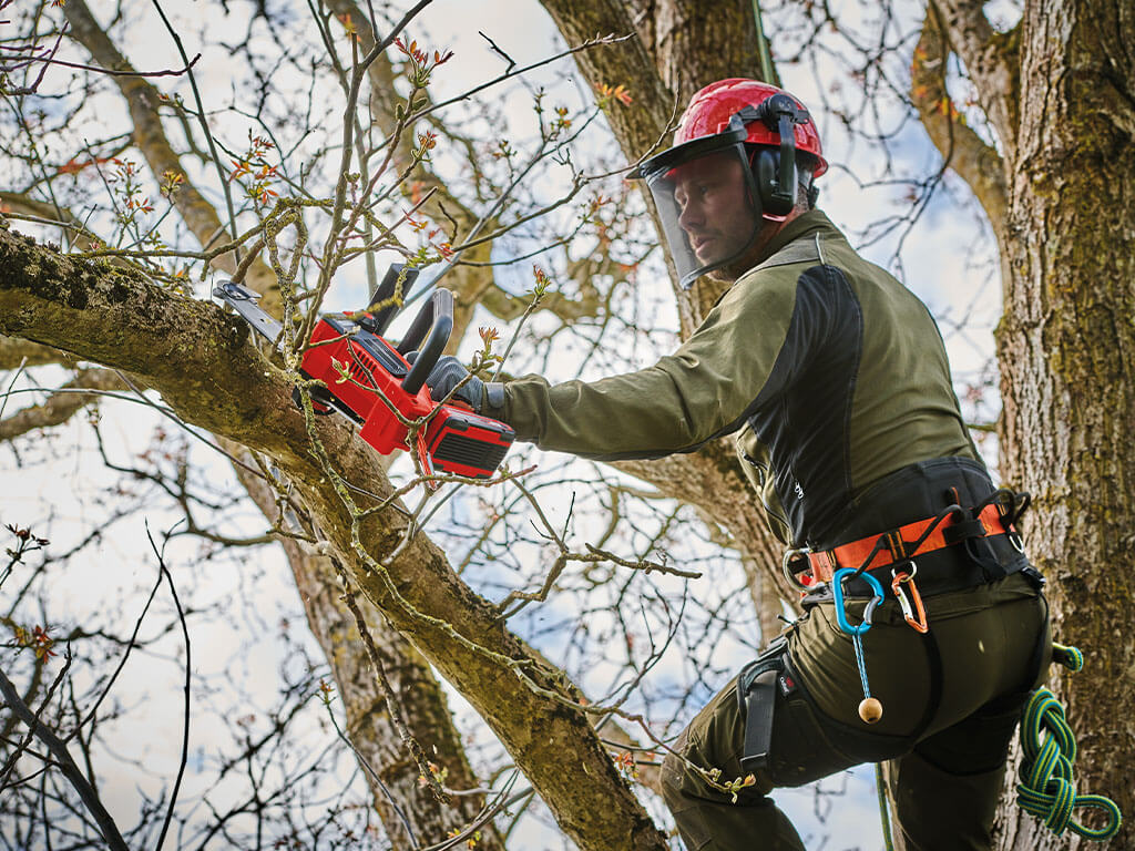 A man is up a tree carrying out maintenance work.