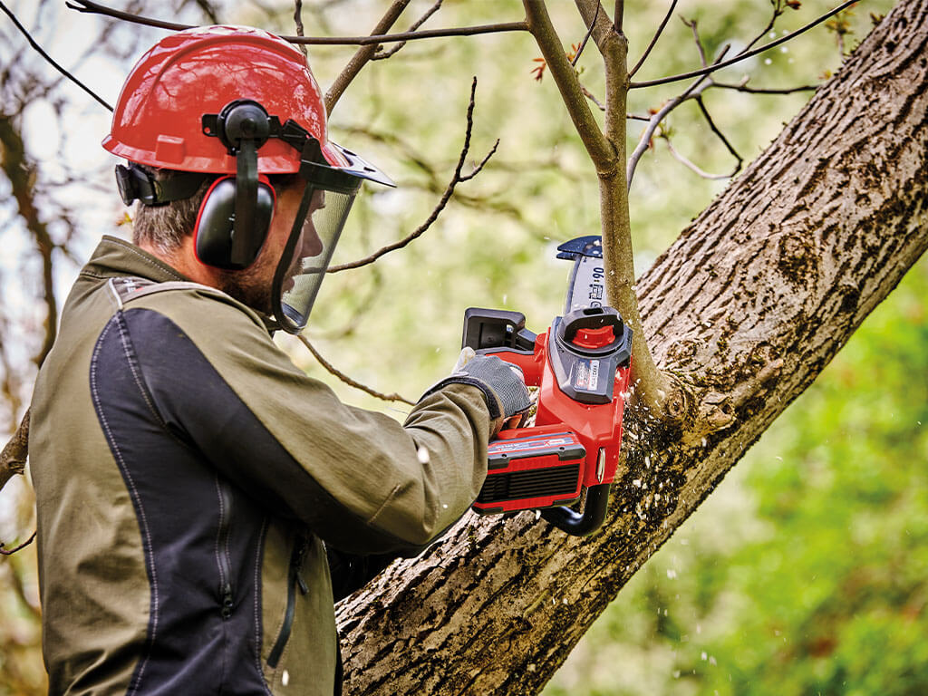 Einhell Akku-Kettensäge Fortexxa 18/30