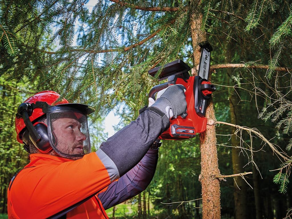 A man standing in de forest and sawing off the branch of a coniferous tree with the Einhell top-handled chainsaw.