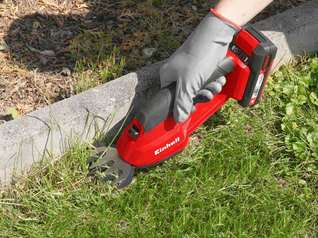 lawn edges is removed with einhell shears