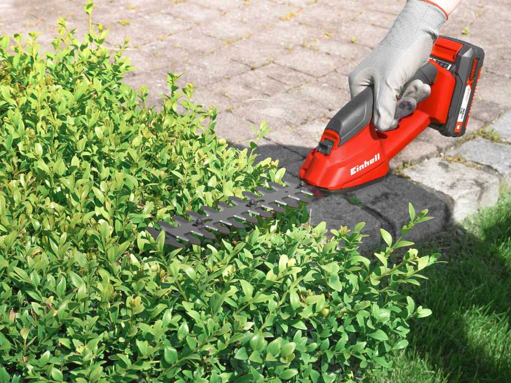 A hedge is cut with an Einhell bush shear.