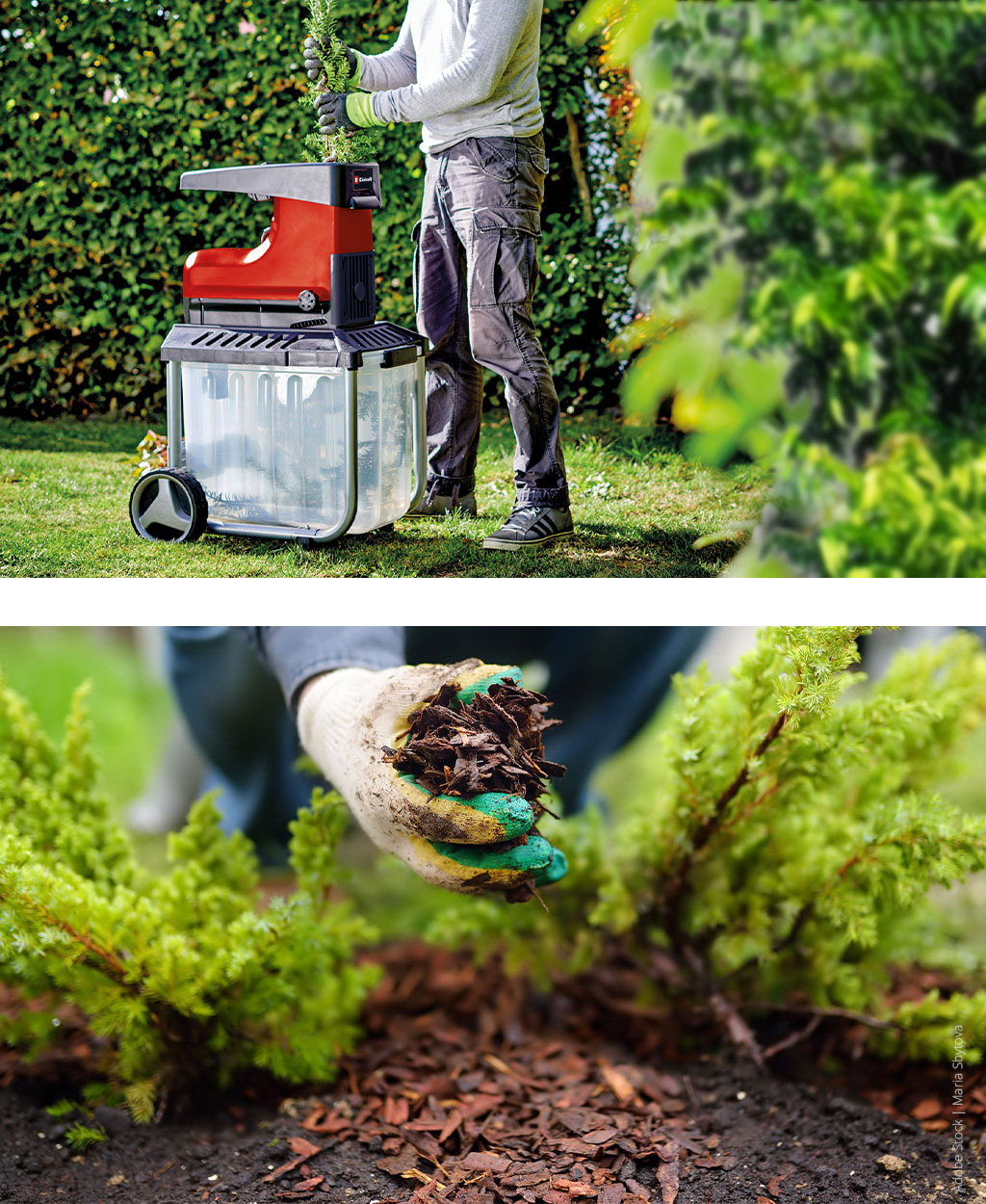 A man shreds branches with an Einhell shredder and mulches soil in a bed