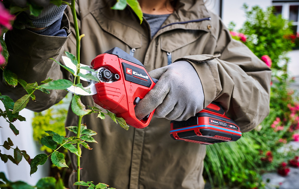 Person wearing gloves cuts a green plant stem in the garden using red cordless pruning shears.