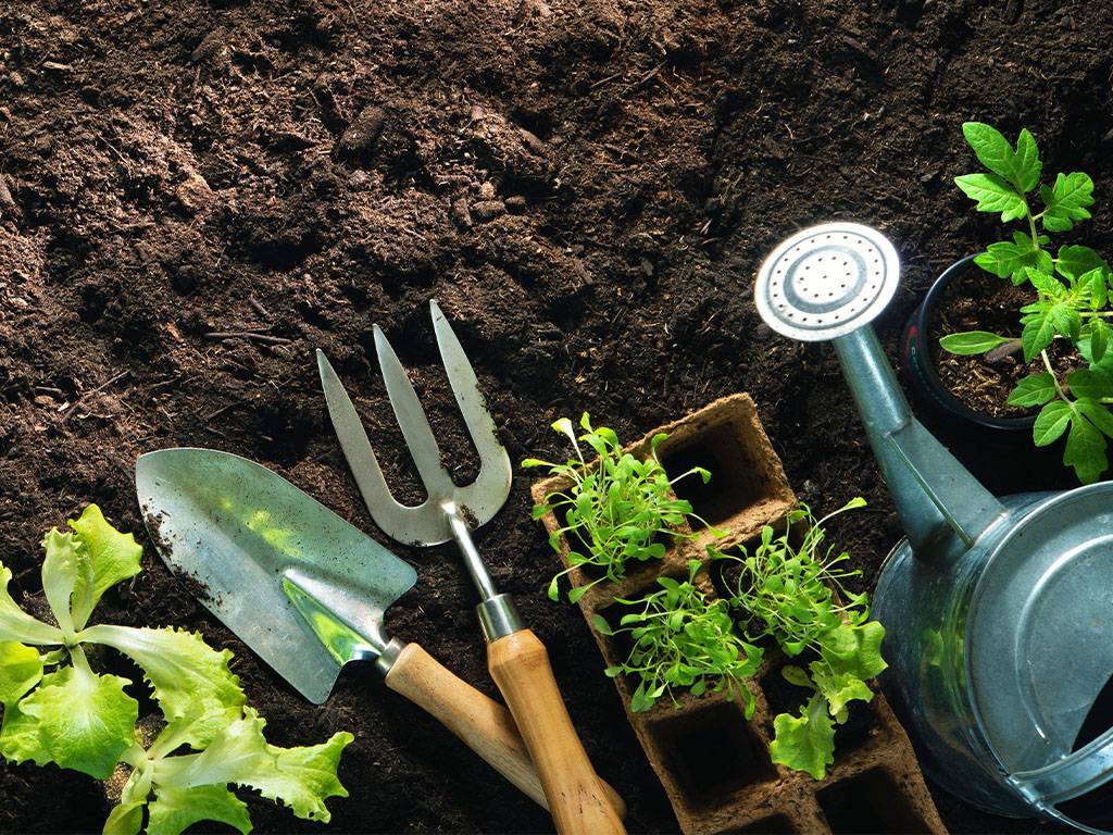 various garden tools and vegetables lie on the ground