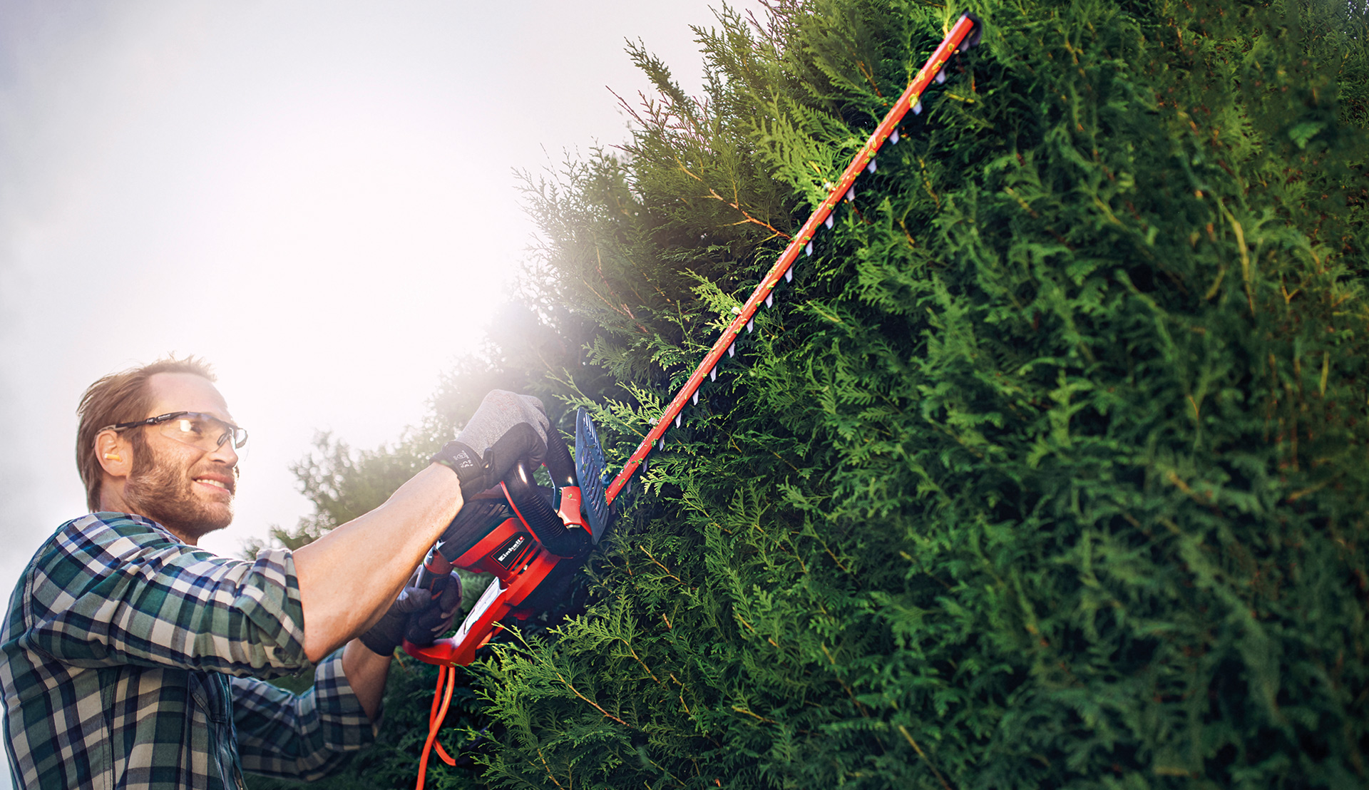 Electric hedge trimmers are ready to use in just seconds