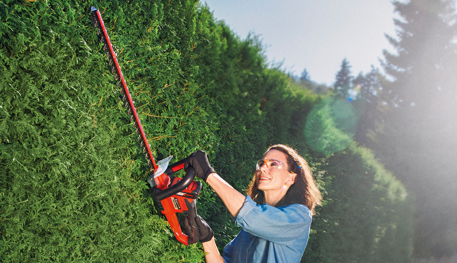 And that's how you get the perfect hedge cutting shape