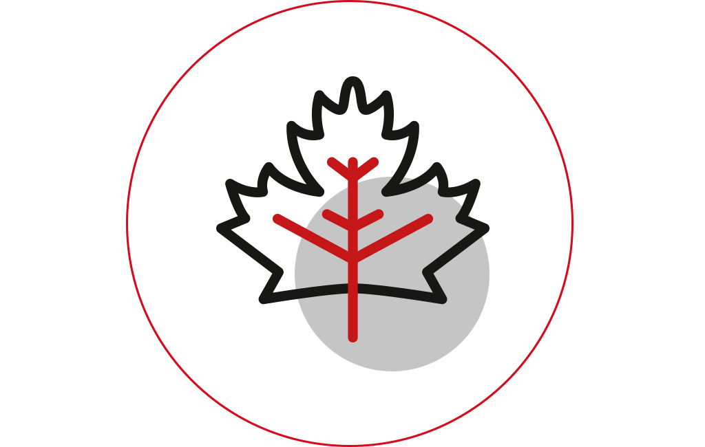 Graphic of an autumn leaf.