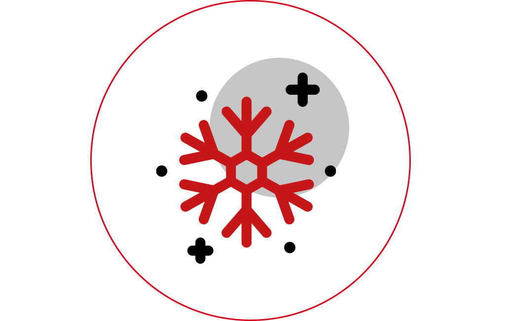 Graphic of a snowflake.
