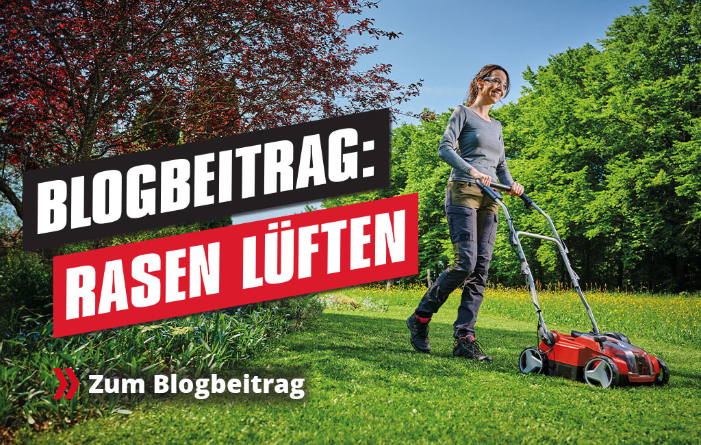 Eine Frau vertikutiert einen Rasen. Text im Vordergrund: Blogbeitrag: Rasen lüften