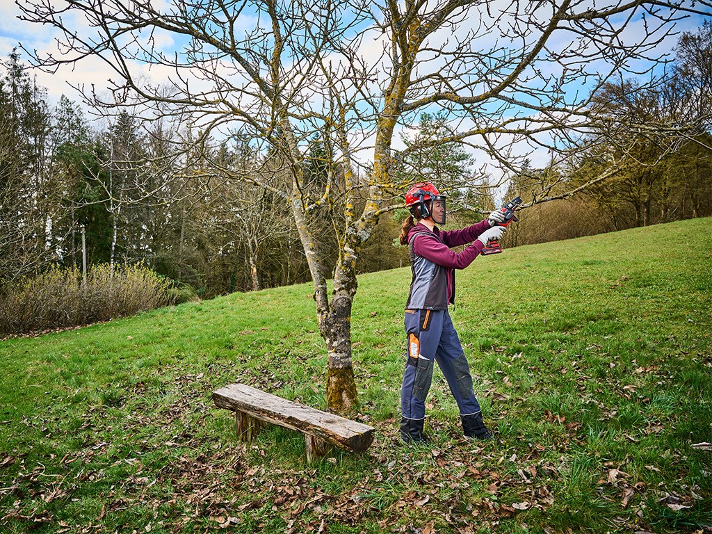 Woman saws off branch of a fruit tree with a cordless pruning chainsaw