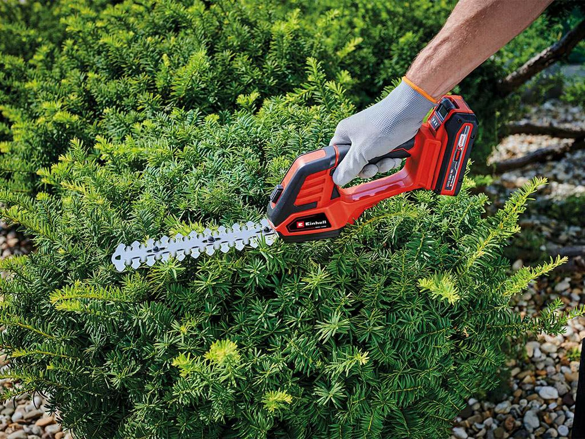 a shrub is cut with shrub shears