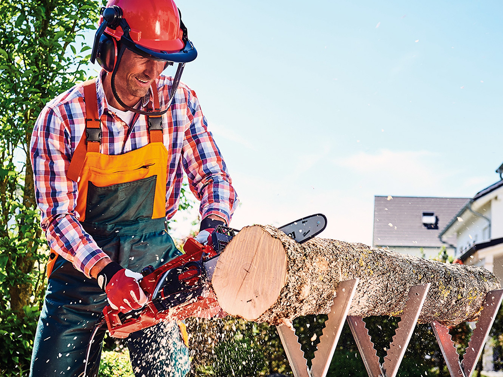 a man cuts a tree with a battery chainsaw