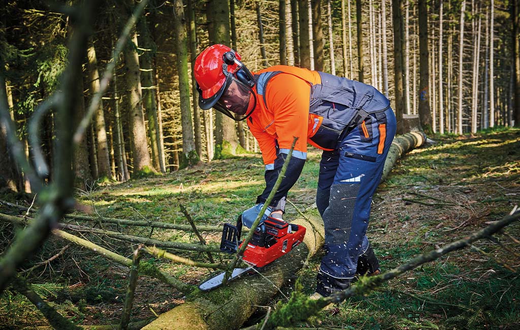 Kettensäge reinigen leicht gemacht: Tipps für eine optimale