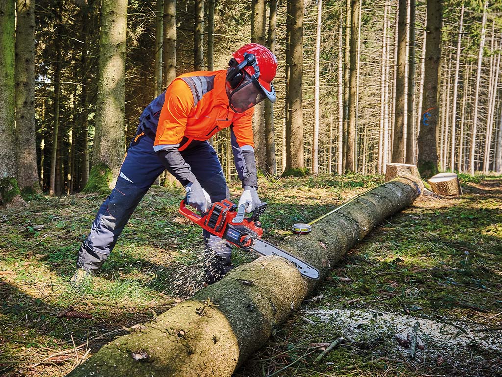 Ein Mann schneidet einen dicken Baumstamm, der in einem Wald liegt, mit einer Motorsäge in Stücke.