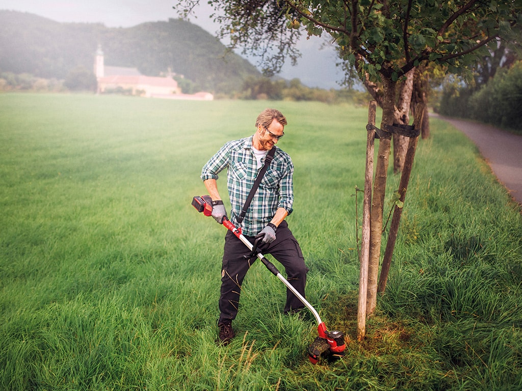 a man trims the lawn around a tree