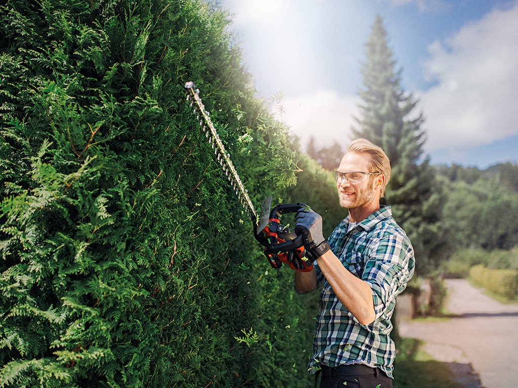 A man cuts the hedge with a cordless hedge trimmer.