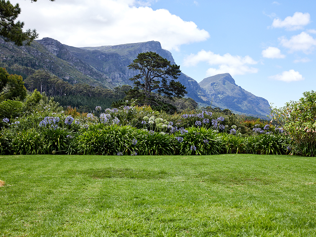 Garden with a view of the mountains