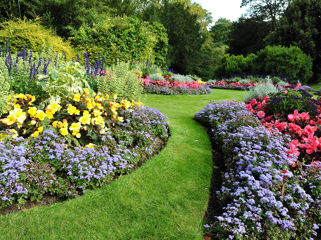 flower garden with freshly mown lawn