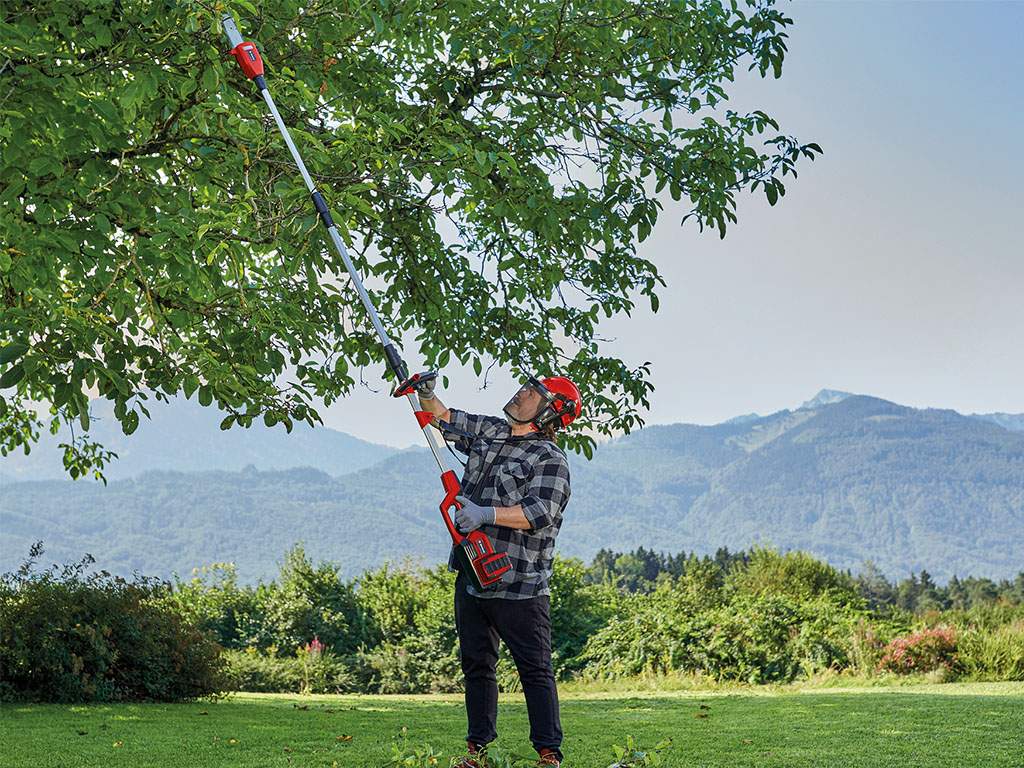 A man cuts the branch with an extendable hedge trimmer