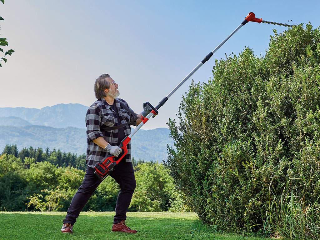 A man cuts the hedge with an extendable hedge trimmer