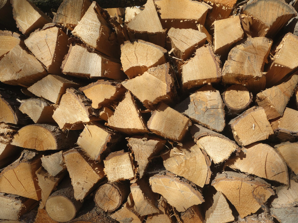 wood pile