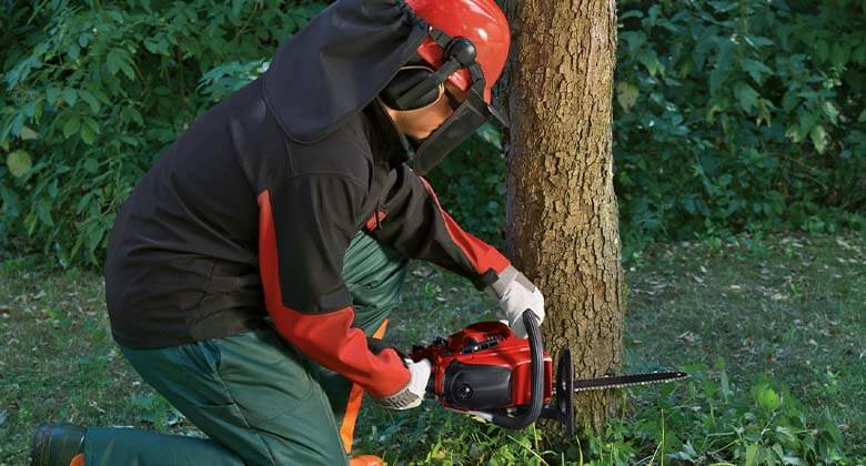 Einhell  Kettensäge & Motorsäge kaufen bei HORNBACH