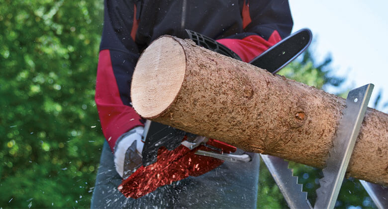 EINHELL Kettensäge in Thüringen - Hopfgarten