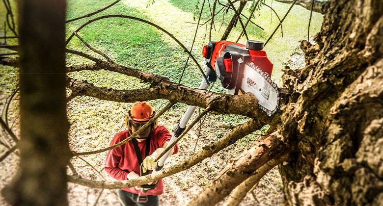 Pole saws multitools for the garden Einhell
