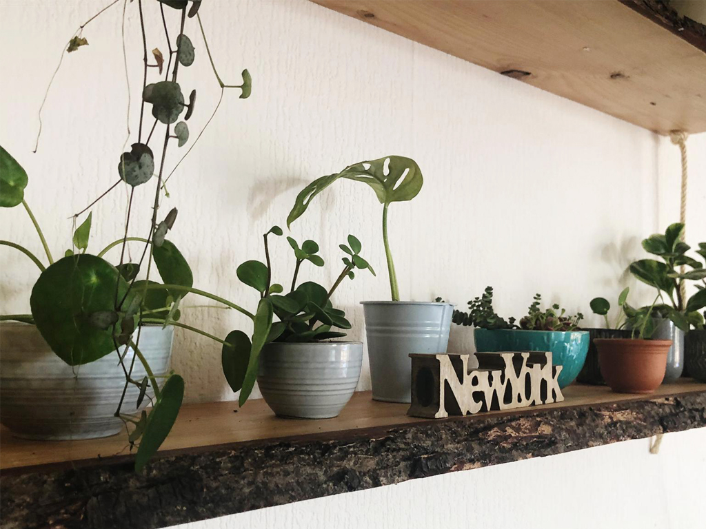 diy project hanging shelf